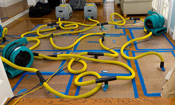 Professional Crawl Space Water Removal technician working in Swanzey, NH